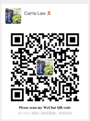 WeChat